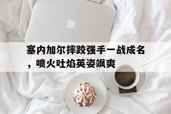 米兰体育官网入口-塞内加尔摔跤强手一战成名，喷火吐焰英姿飒爽的简单介绍